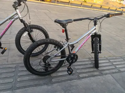 Bicicleta Oxford modelo Luna aro 20 - miniatura 3