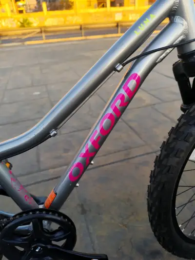 Bicicleta Oxford modelo Luna aro 20 - miniatura 5