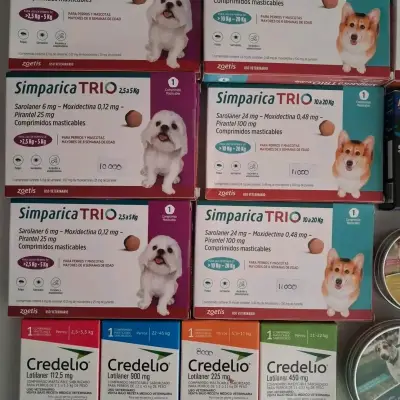 Simparica Trio para perros - miniatura 1