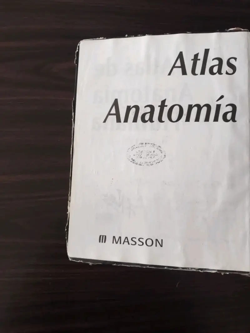 Atlas de Anatomía Humana 3ª edición - 2