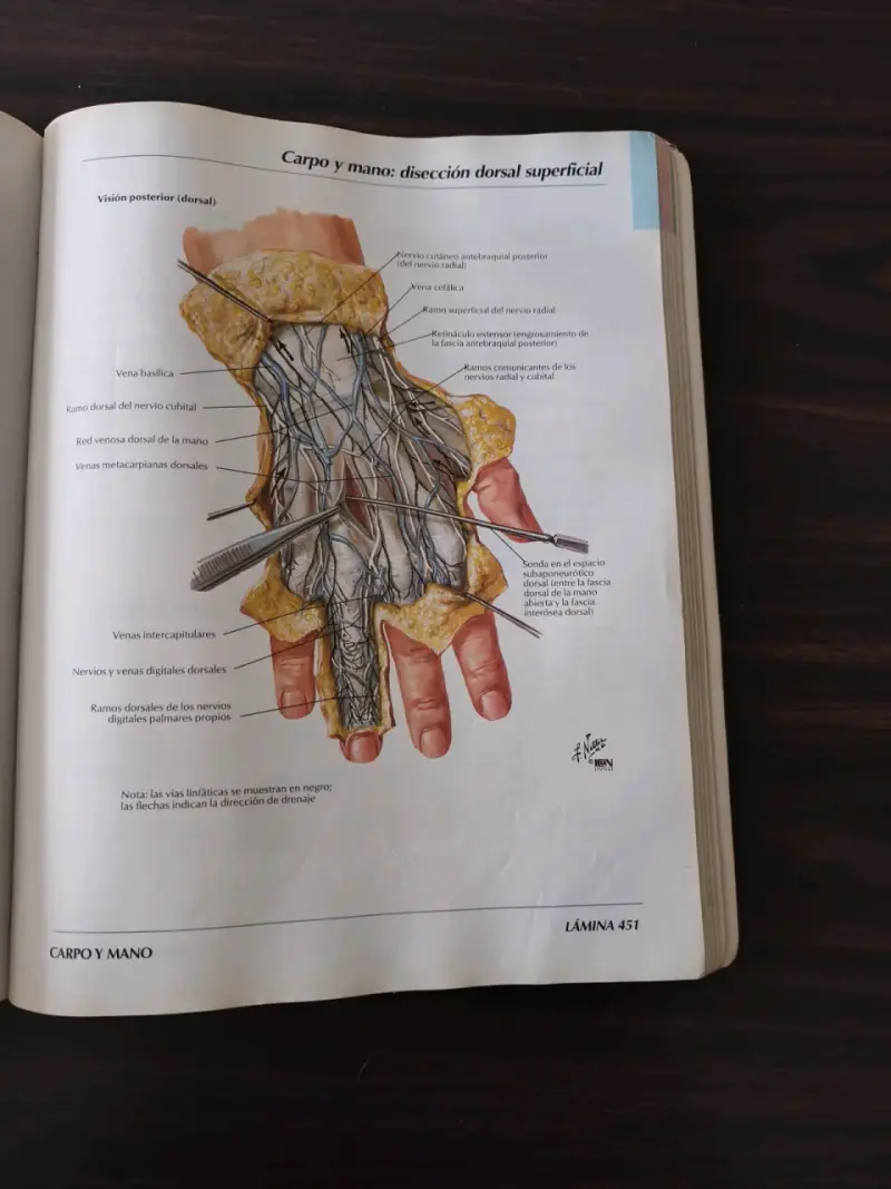 Atlas de Anatomía Humana 3ª edición - 6