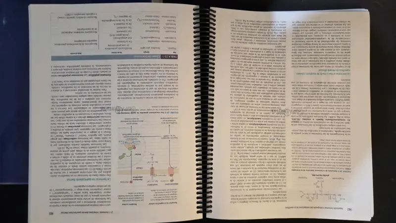 Libro Principios de Bioquímica - Lehninger - 2