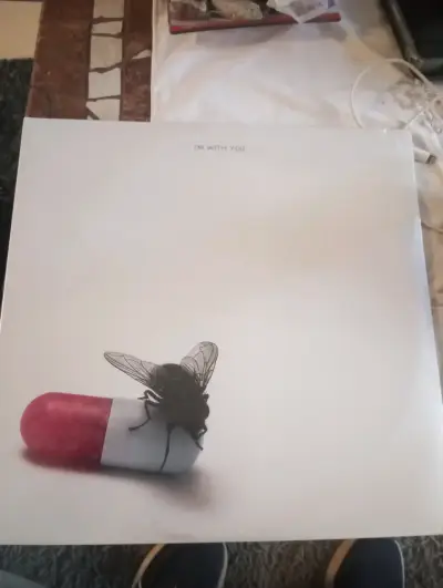 Vinilo Doble Red Hot Chili Peppers - I'm With You - miniatura 1