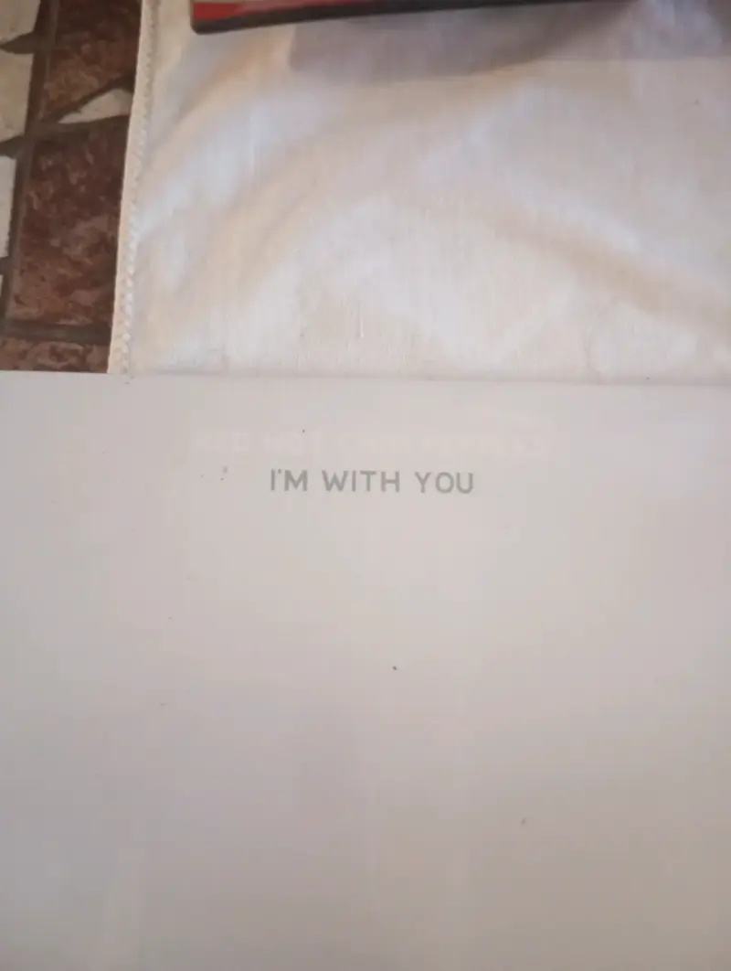 Vinilo Doble Red Hot Chili Peppers - I'm With You - 2