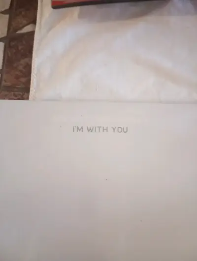 Vinilo Doble Red Hot Chili Peppers - I'm With You - miniatura 2