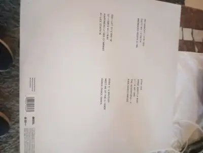 Vinilo Doble Red Hot Chili Peppers - I'm With You - miniatura 3