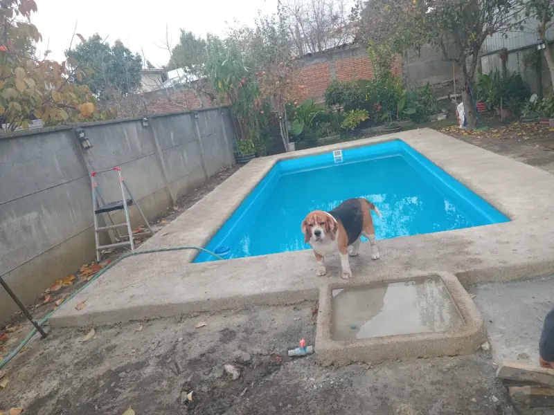 Estructura de piscina en construcción - 3