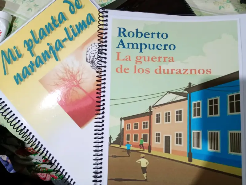 Libros plan lector de los distintos colegios - 1
