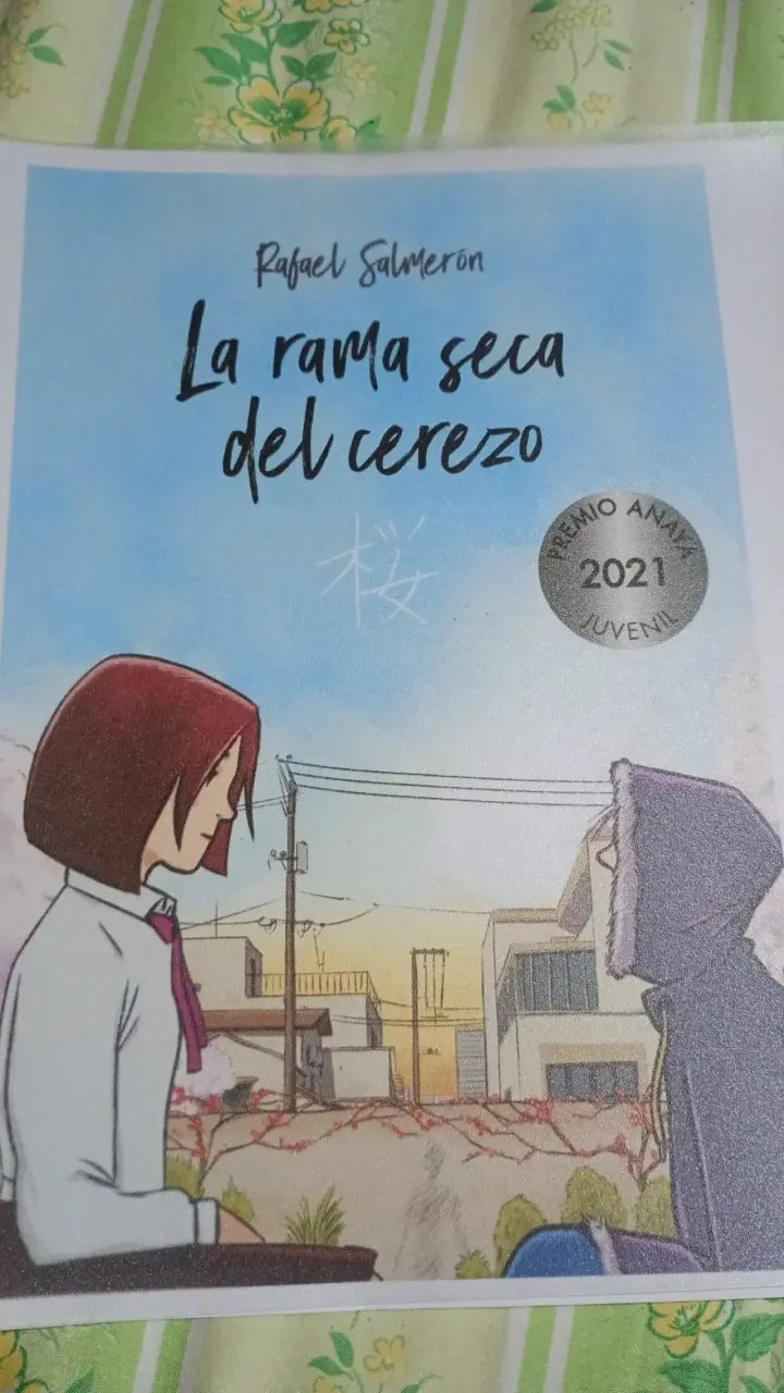 Libros plan lector de los distintos colegios - 2