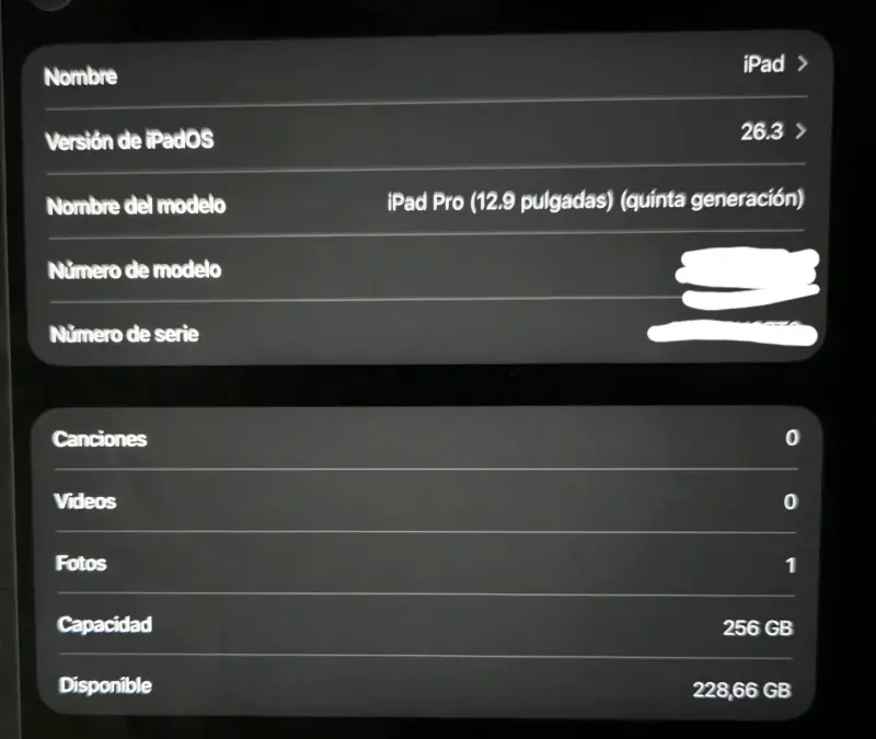 iPad pro 12.9 pulgadas chip M1 - 2