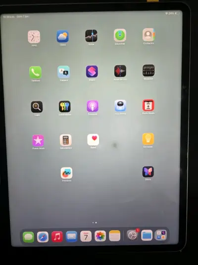 iPad pro 12.9 pulgadas chip M1 - miniatura 3