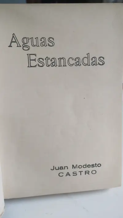 Aguas Estancadas, Juan Modesto Castro - miniatura 3