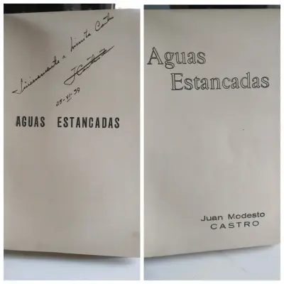 Aguas Estancadas, Juan Modesto Castro - miniatura 5