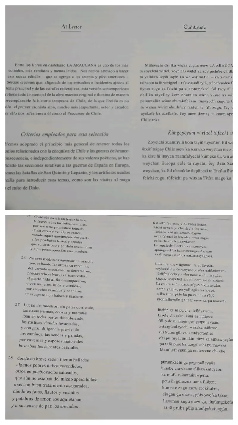 La Araucana, Elikura Chihuailaf - 3