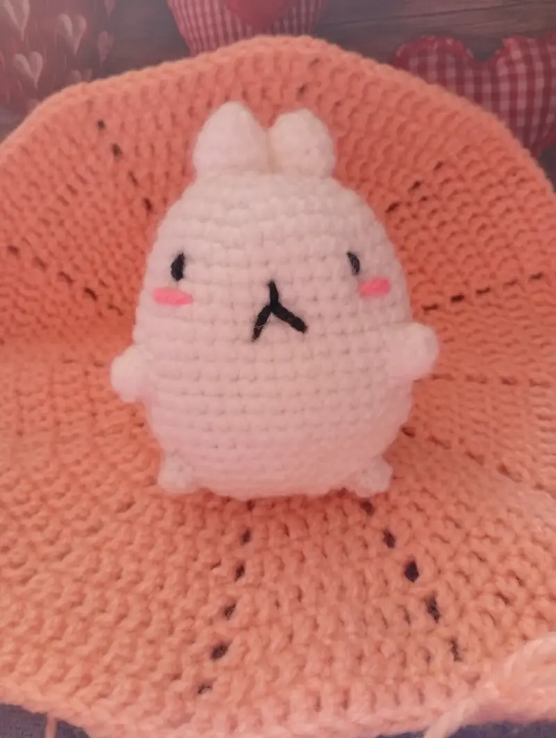 Muñeco amigurumi Molang - 2