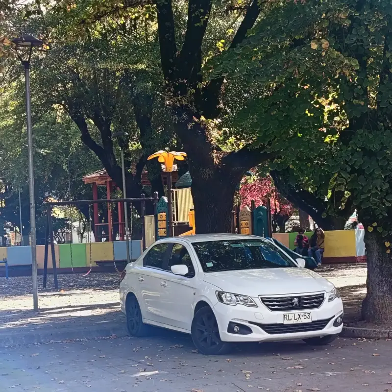 🛑 Peugeot 301 HDi 2022 – ¡Eficiencia, Espacio y C - 1