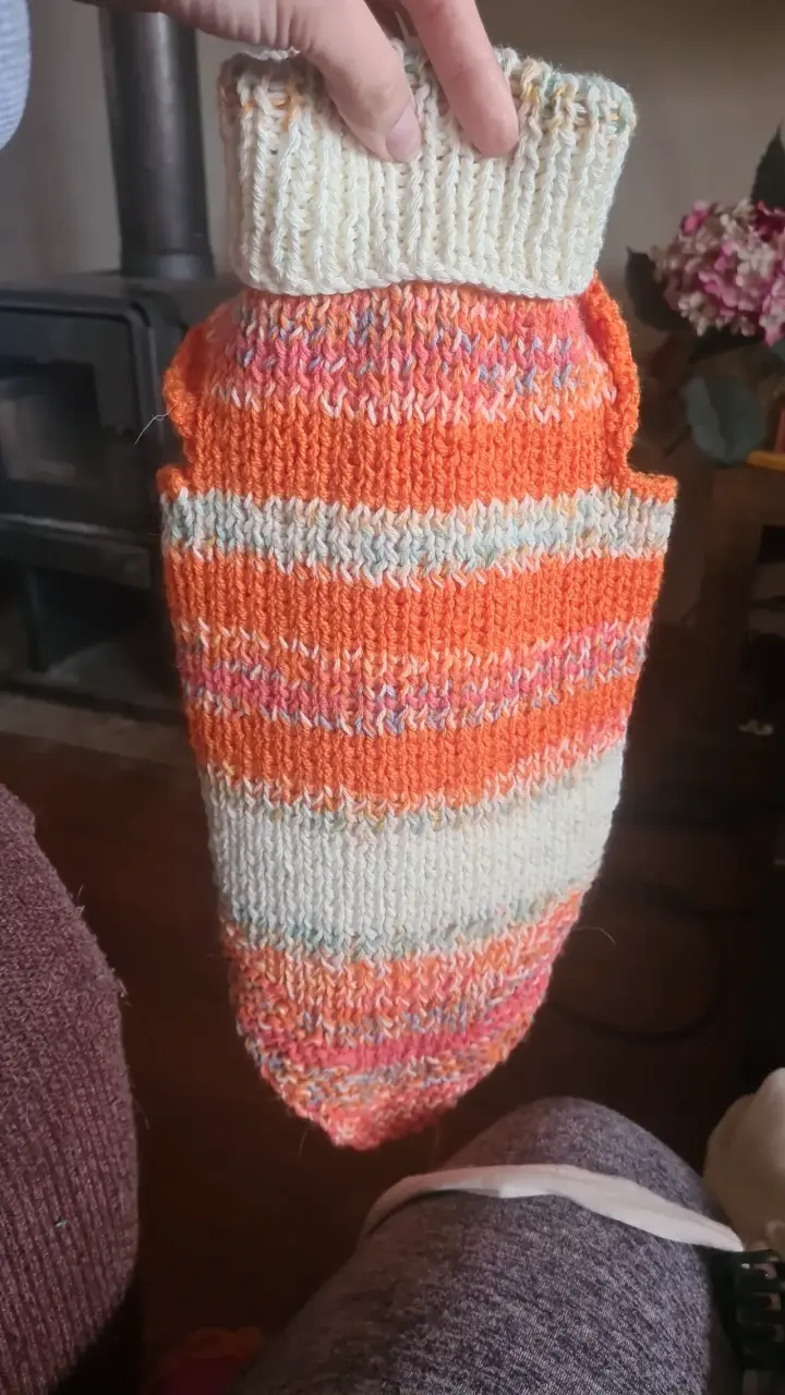 Chaleco tejido para perro - 2