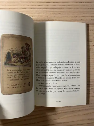 Libro 'Buscanidos' de Matías Celedón - miniatura 4