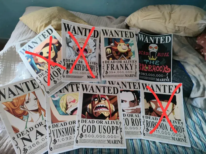 Carteles de se busca one piece nuevos