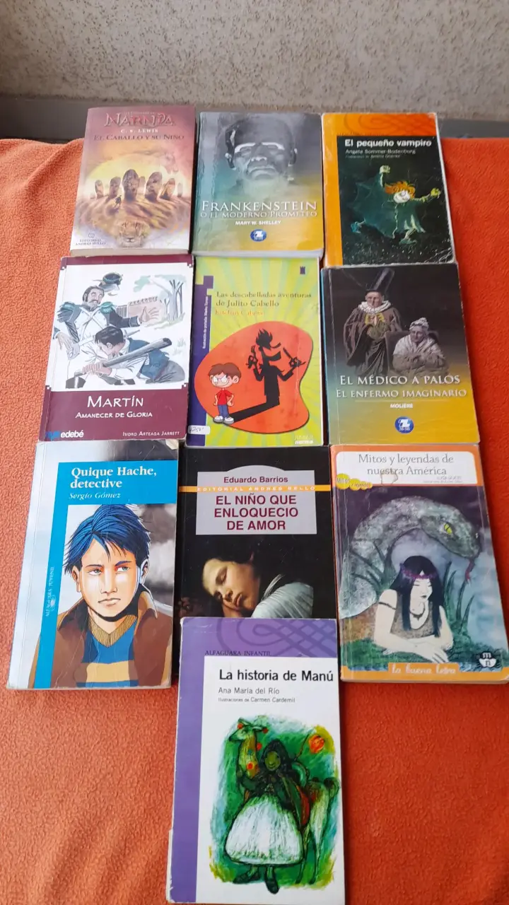 Lote de libros infantiles y juveniles