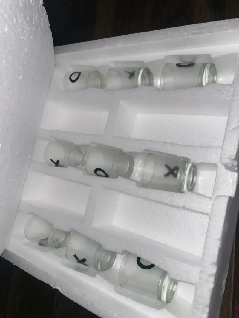 Juego de beber - gato vasos de shots - 4