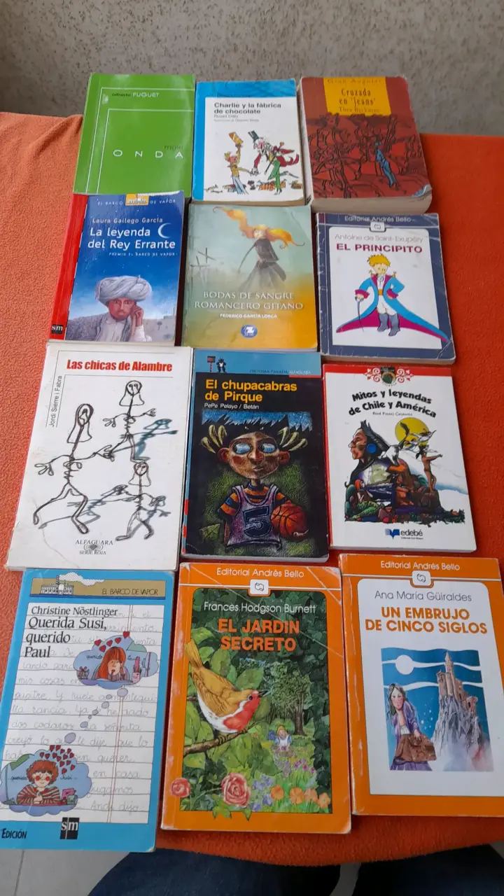 Lote de libros juveniles variados
