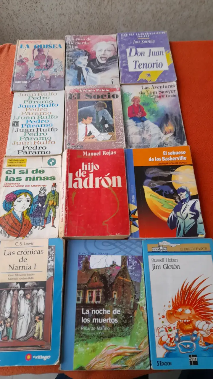 Lote de libros clásicos variado