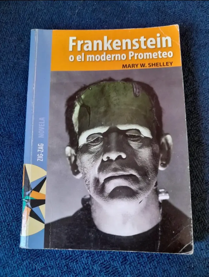 Libro Frankenstein Mary Shelley - 1