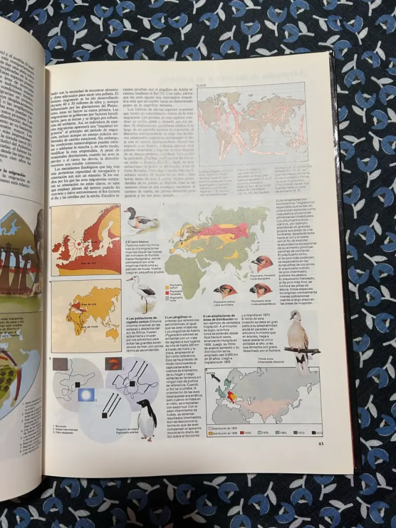 Gran Enciclopedia Didáctica Ilustrada Salvat - 6