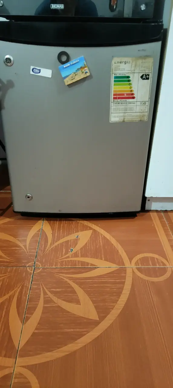 Refrigerador Thomas de eficiencia energética - 1