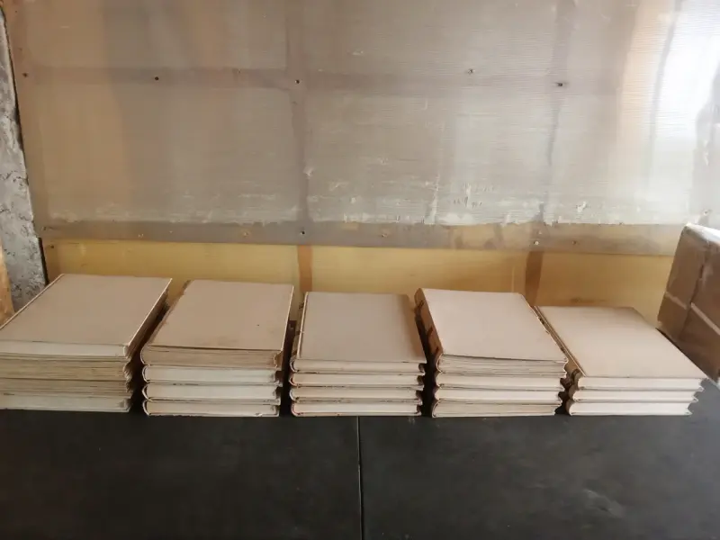 Enciclopedia 19 tomos Salvat - 4