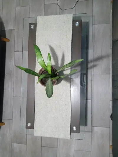 Mesa de centro vidrio y madera - miniatura 4