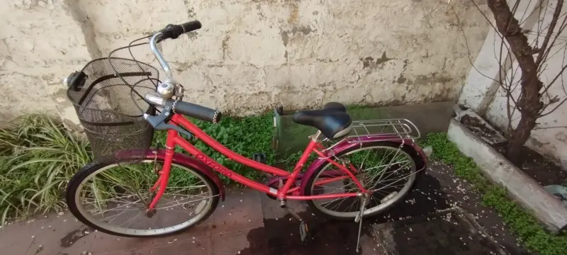 Bicicleta urbana Oxford rosa con canasto - 2