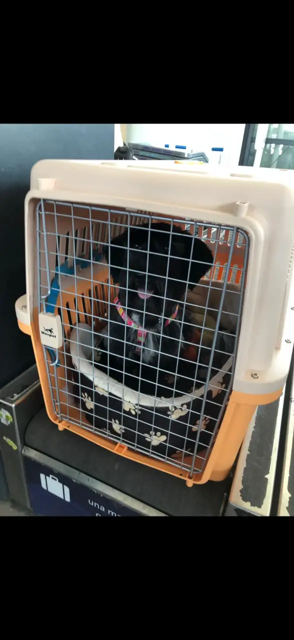 Jaula de transporte para mascotas