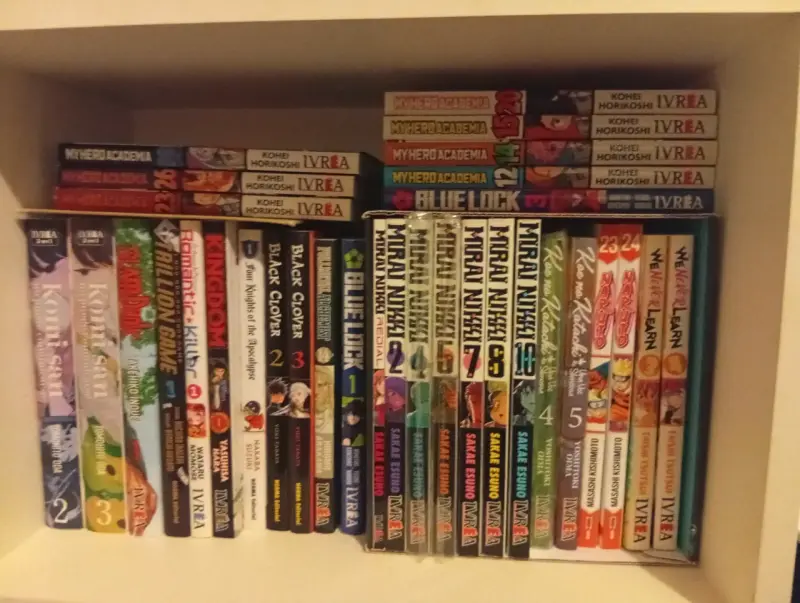 Colección de mangas variados