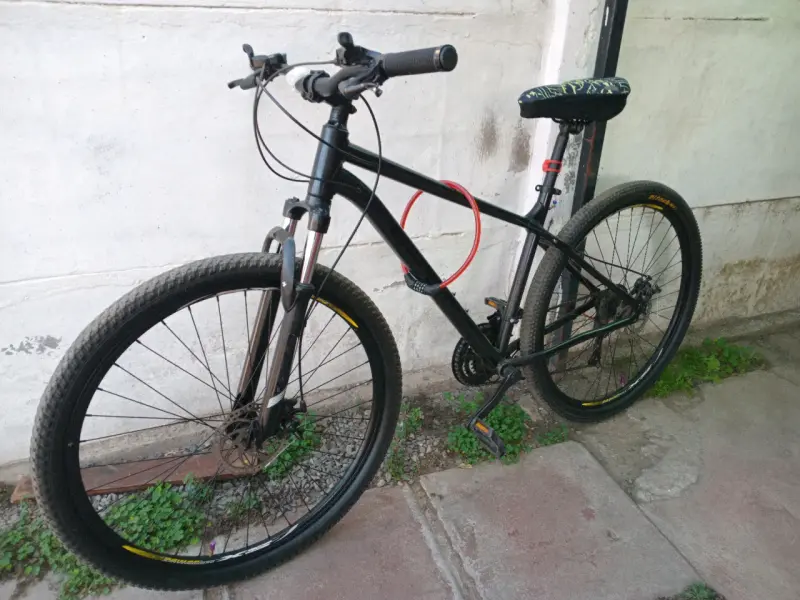 Bicicleta bianchi evolution 29 - 1