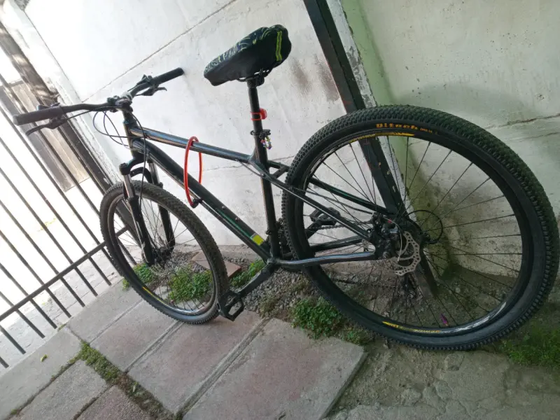 Bicicleta bianchi evolution 29 - 2