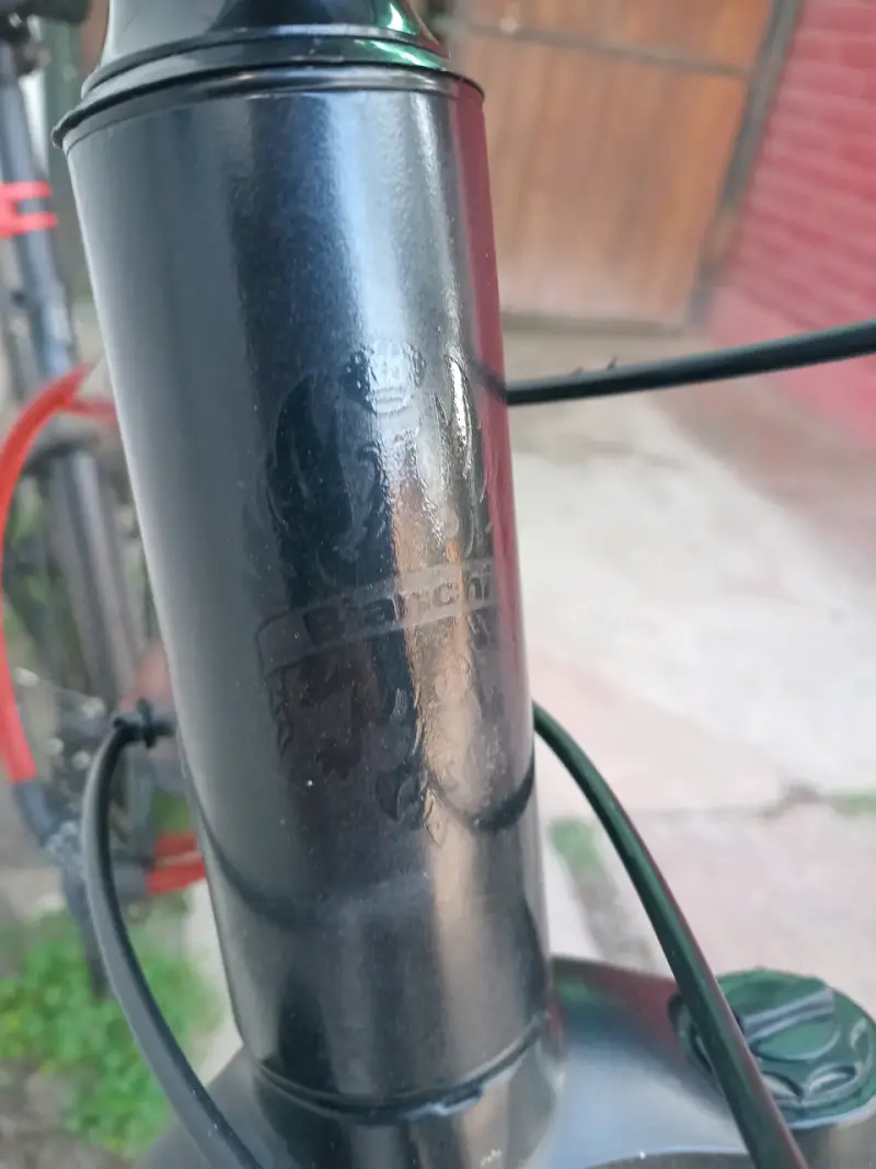 Bicicleta bianchi evolution 29 - 4
