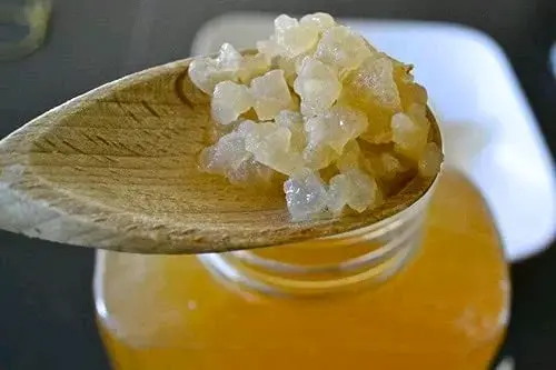 Nódulos Kéfir de agua