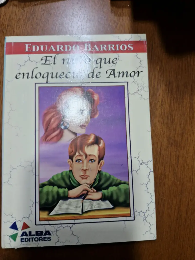 Libro El niño que enloqueció de amor