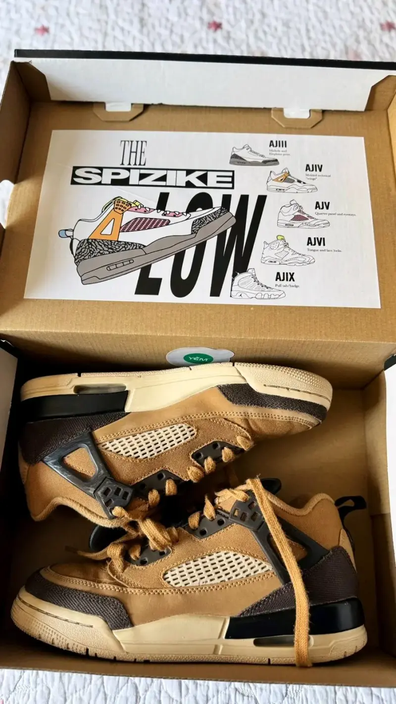 Zapatillas Jordan Spizike Low marrón - 3