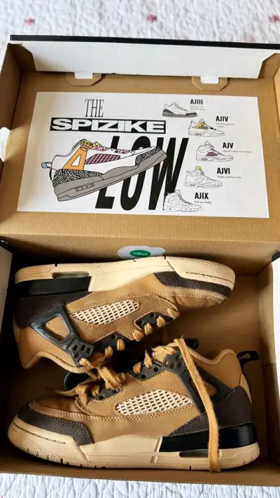 Zapatillas Jordan Spizike Low marrón - miniatura 3