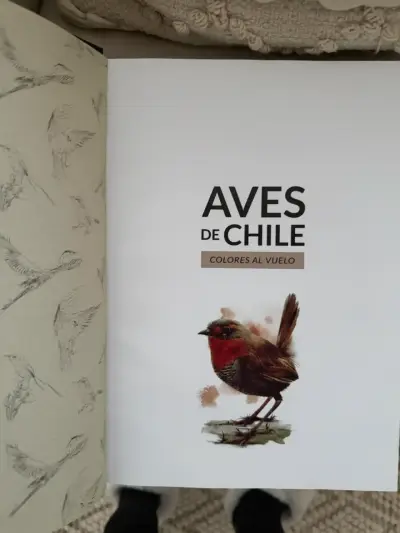 Libro Aves de Chile Segunda Edición - miniatura 4