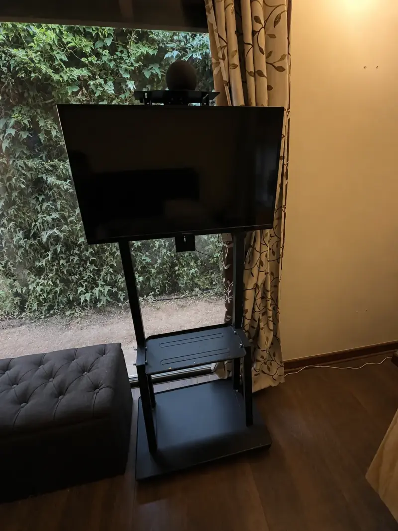 Televisor con soporte ajustable - 2