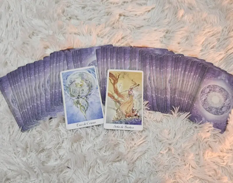 Tarot Shadowscapes de Stephanie Pui-Mun Law - 2