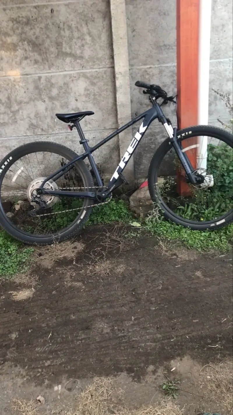 Bicicleta Trek gris azul
