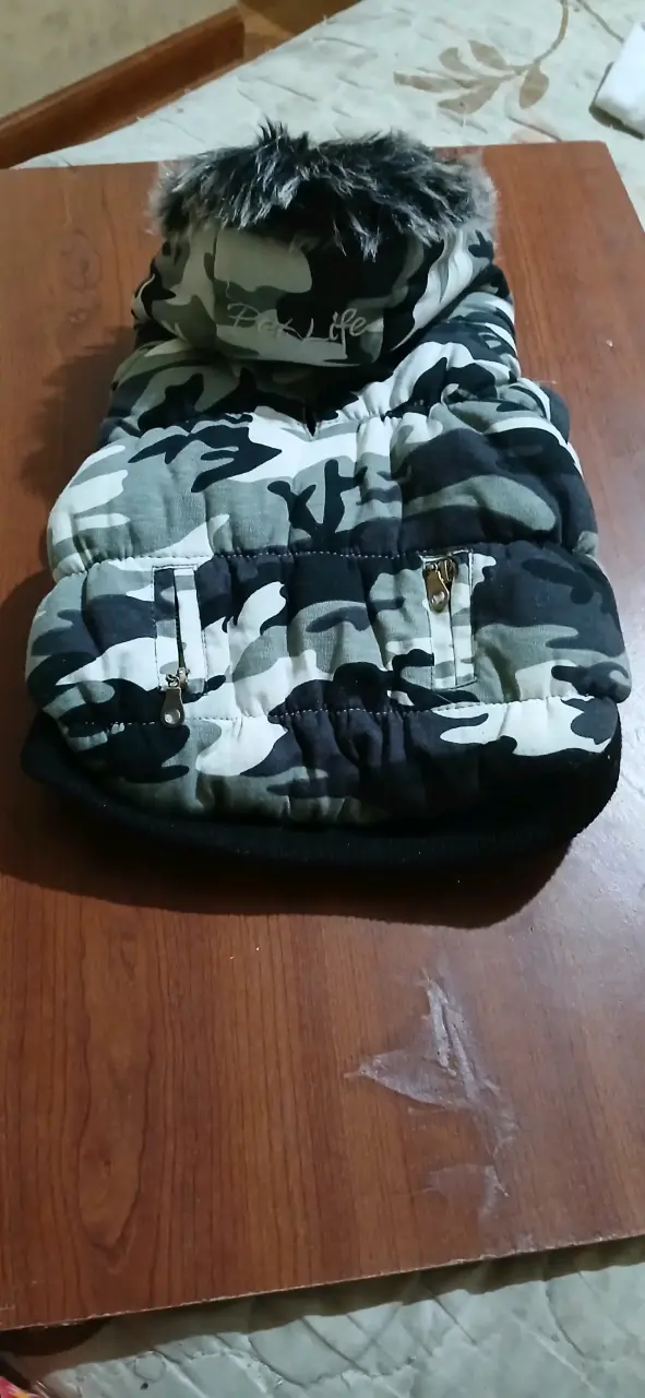 Abrigo camuflaje para mascota - 1