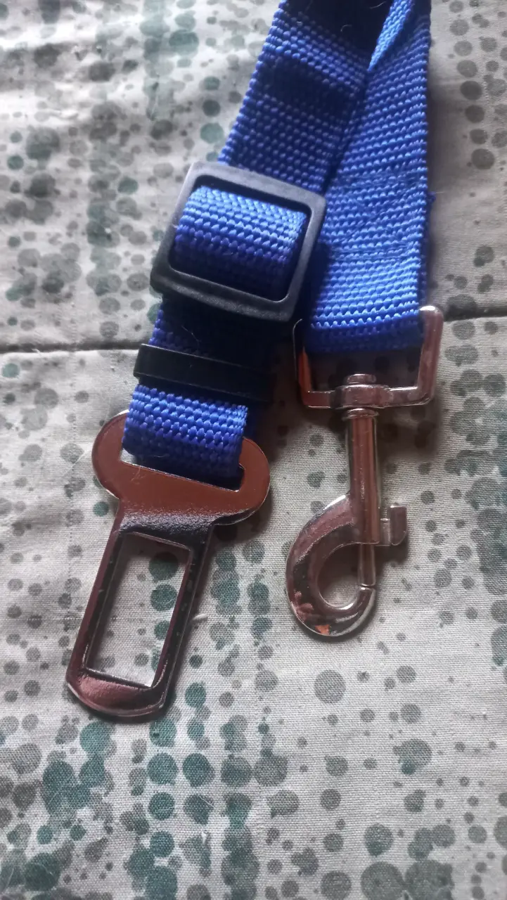 Correa de seguridad para perros - 1