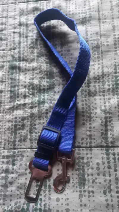 Correa de seguridad para perros - miniatura 2