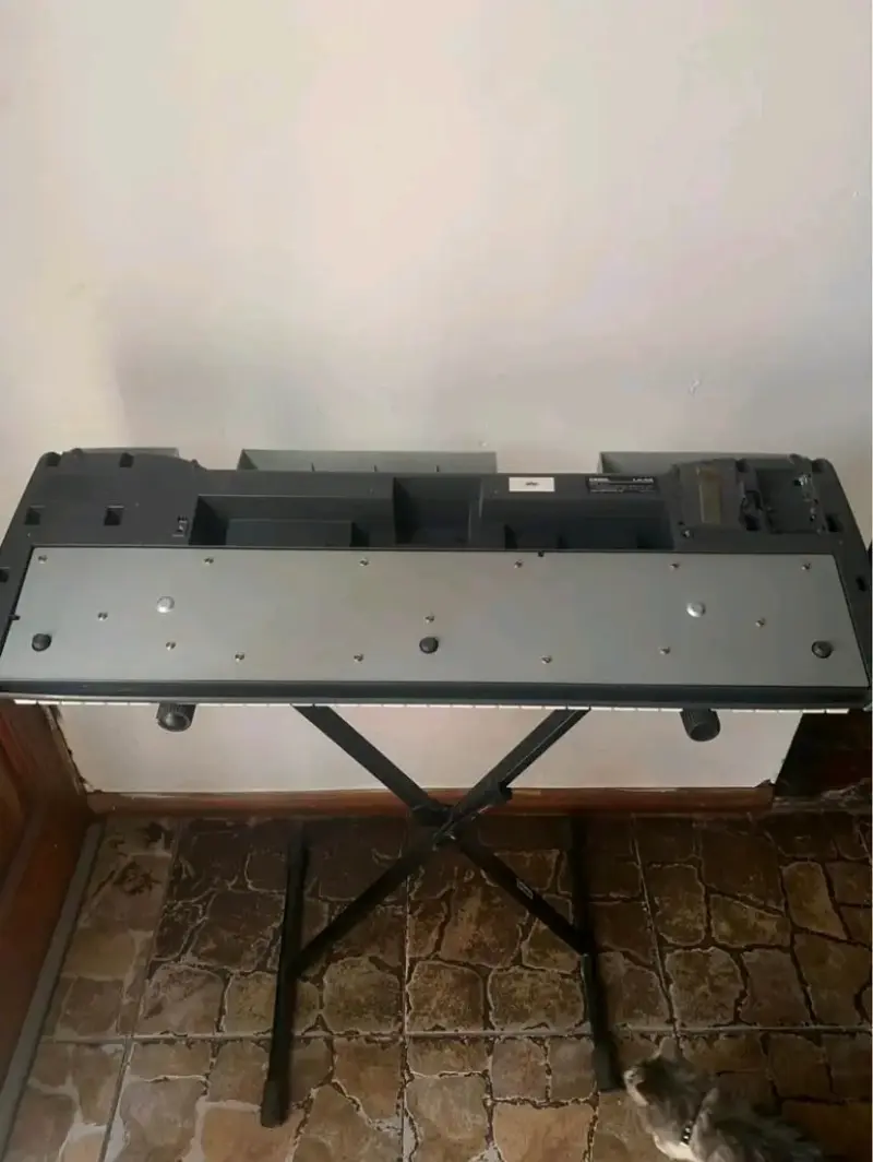 Teclado musical con adaptador - 5